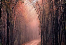 Caldera: The Geological Reality vs. The Warzone Myth