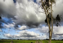 No Tax on Overtime: Did it Pass? What We Know, When it Starts & How it Works