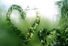 Local News: What's *Actually* Happening, What's Propaganda, and Where to Even Bother Looking