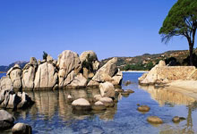 Local News: What's *Actually* Happening, What's Propaganda, and Where to Even Bother Looking